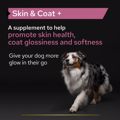 PRO PLAN Sumpliroma Diatrofis Dog Adult Skin and Coat Supplement 250ml